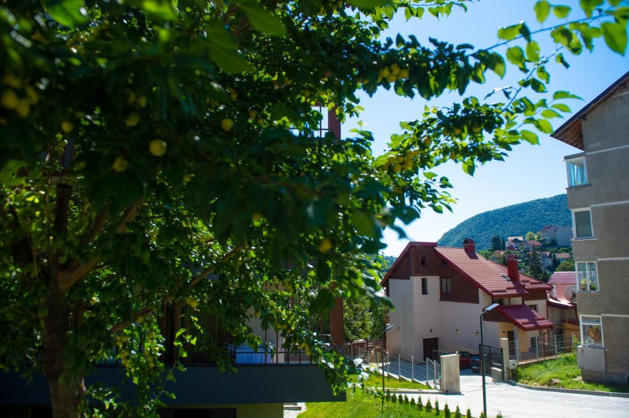Snug Apartments - Private Parking Near Downtown Брашов Екстер'єр фото