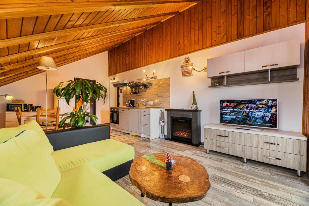 Snug Apartments - Private Parking Near Downtown Брашов Екстер'єр фото
