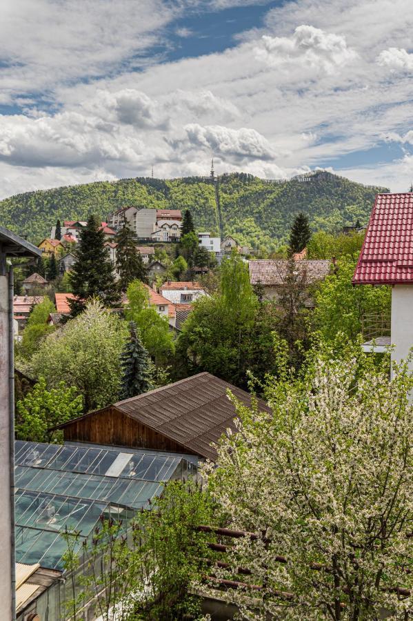 Snug Apartments - Private Parking Near Downtown Брашов Екстер'єр фото