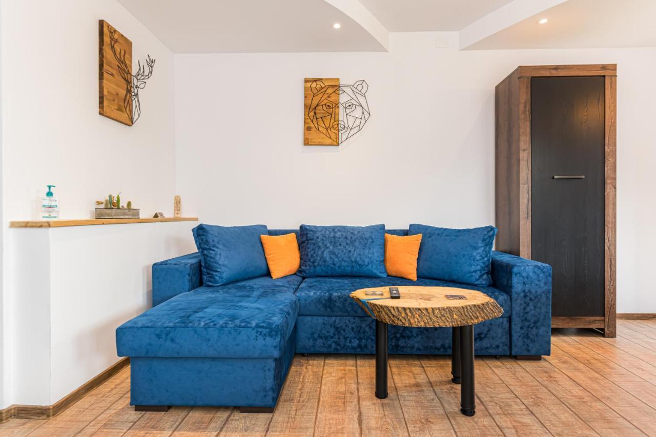 Snug Apartments - Private Parking Near Downtown Брашов Екстер'єр фото