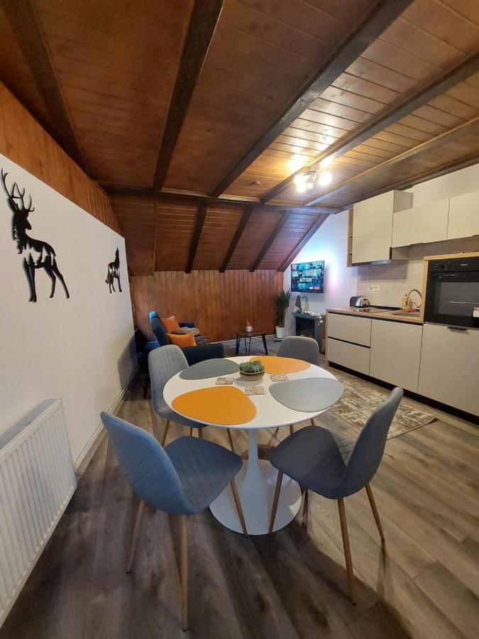 Snug Apartments - Private Parking Near Downtown Брашов Екстер'єр фото
