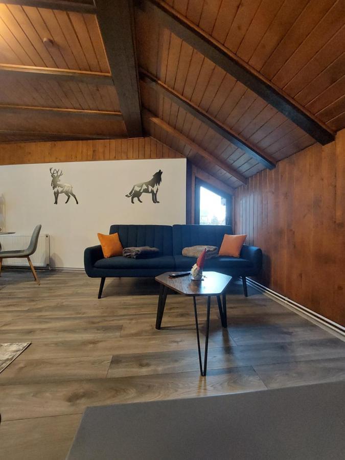 Snug Apartments - Private Parking Near Downtown Брашов Екстер'єр фото
