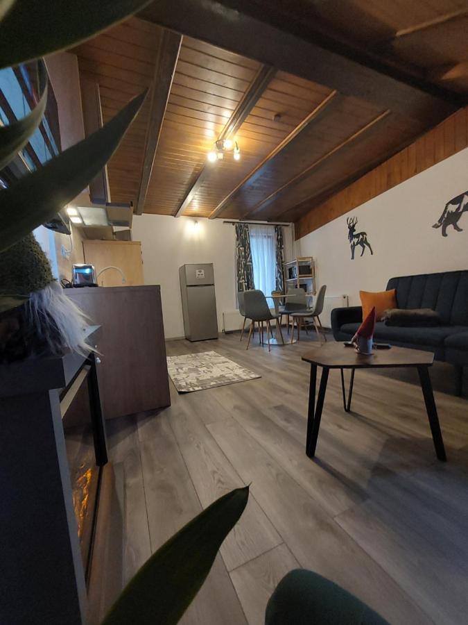 Snug Apartments - Private Parking Near Downtown Брашов Екстер'єр фото