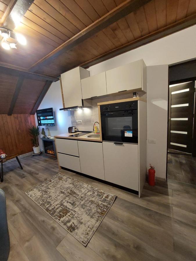 Snug Apartments - Private Parking Near Downtown Брашов Екстер'єр фото