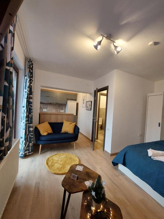 Snug Apartments - Private Parking Near Downtown Брашов Екстер'єр фото