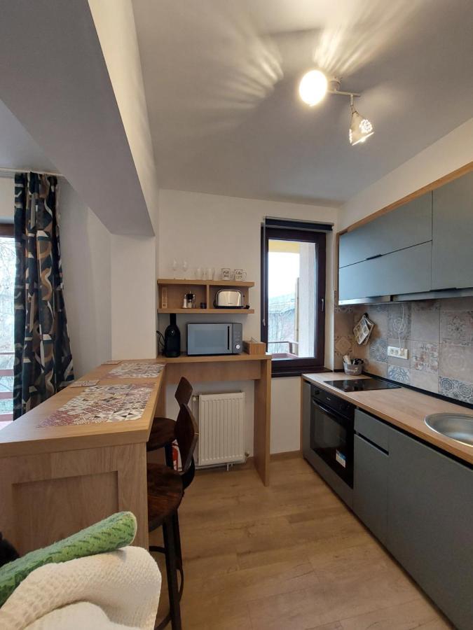 Snug Apartments - Private Parking Near Downtown Брашов Екстер'єр фото