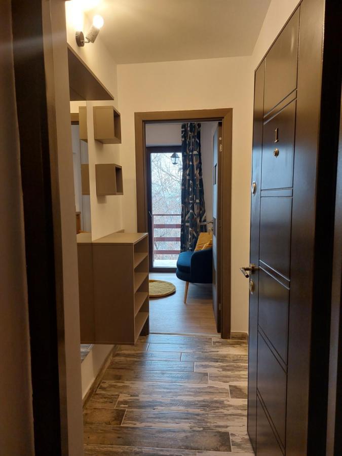 Snug Apartments - Private Parking Near Downtown Брашов Екстер'єр фото